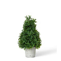 Promo Mountain Savory Cone Topiary Small
