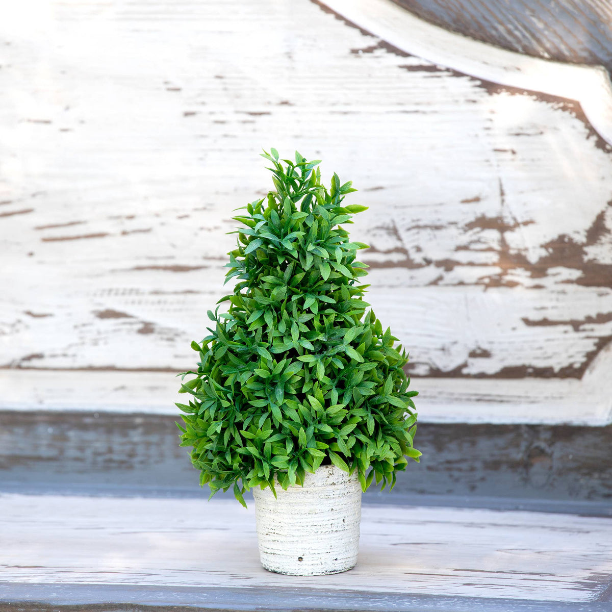 Promo Mountain Savory Cone Topiary Small