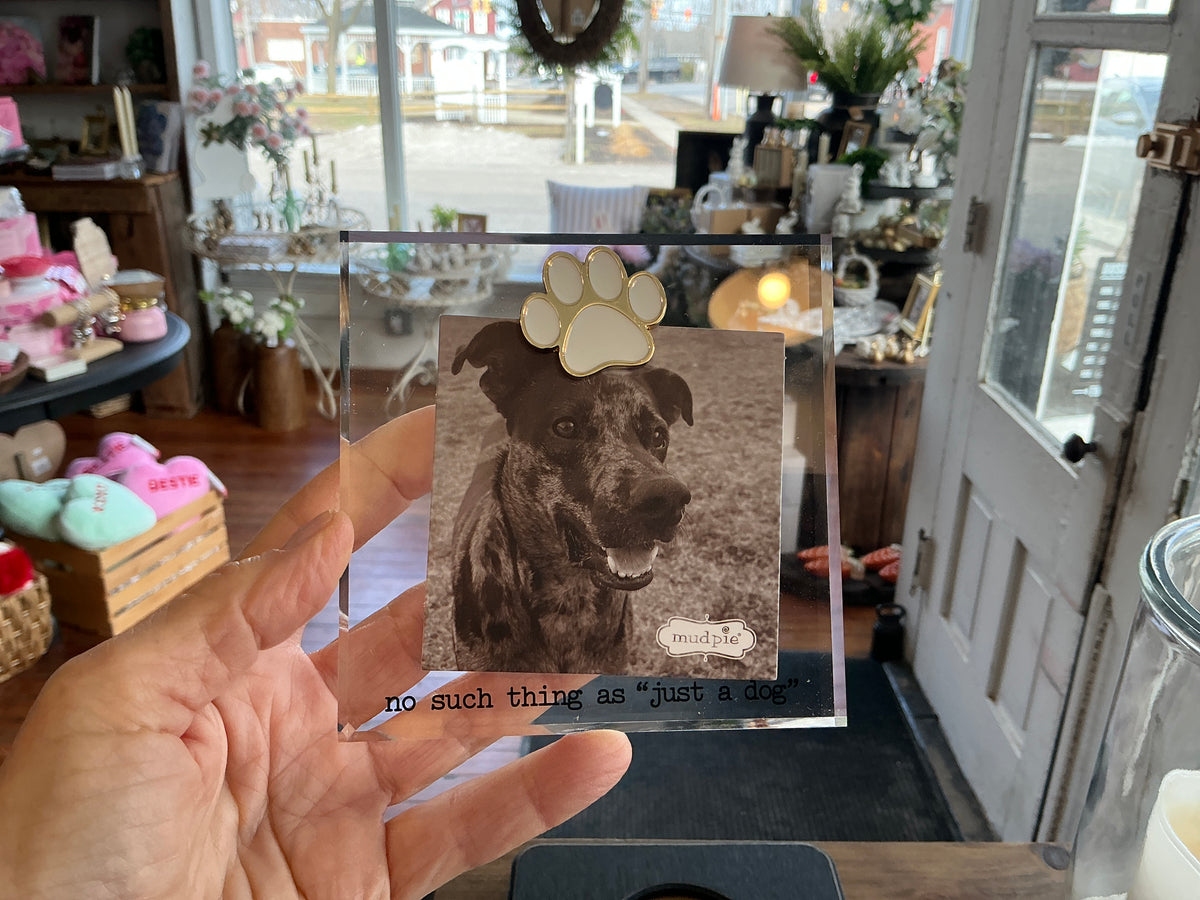 Paw mini pet frame