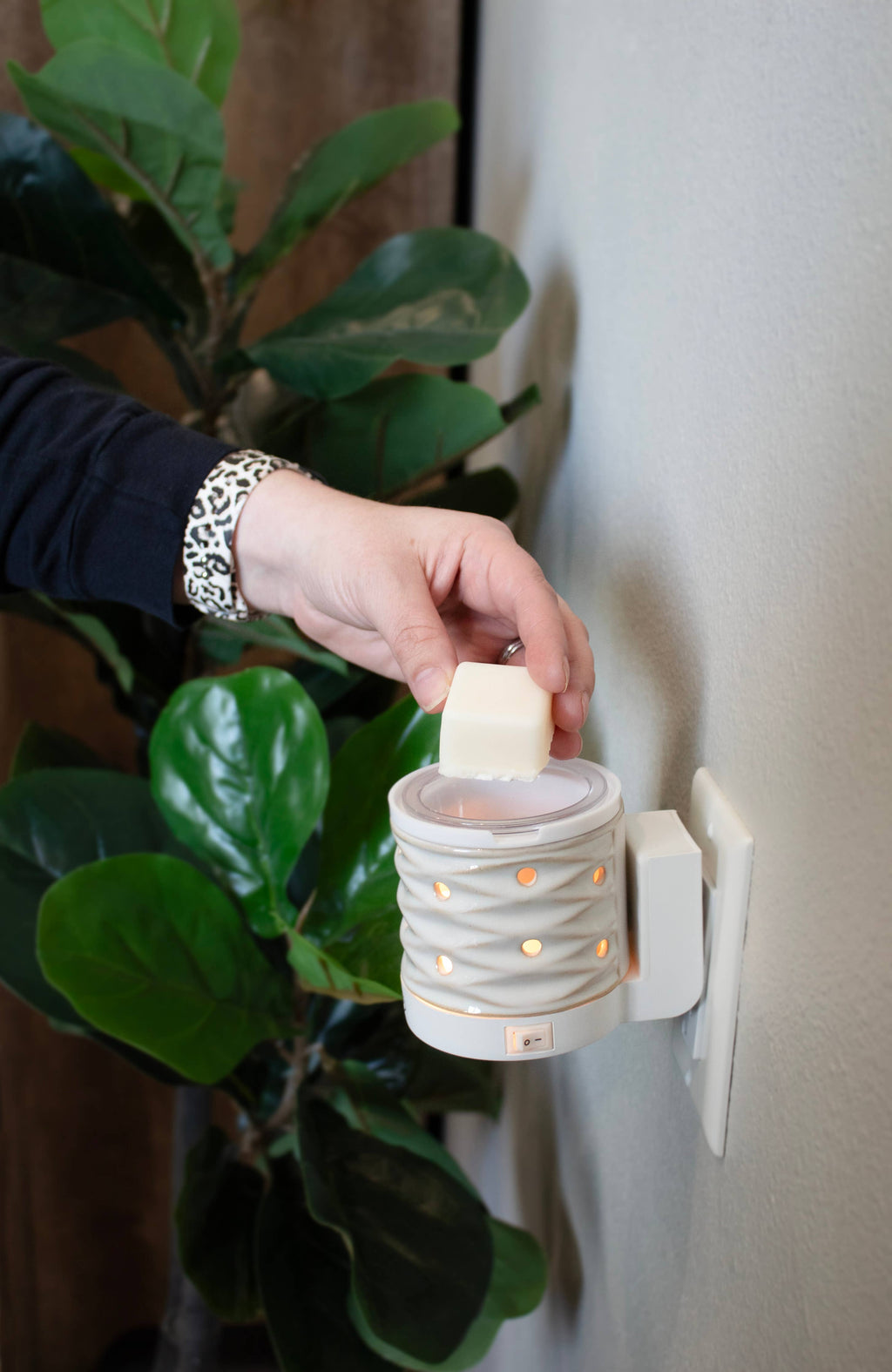 5.5 oz Wax Melts: Milk & Sugar