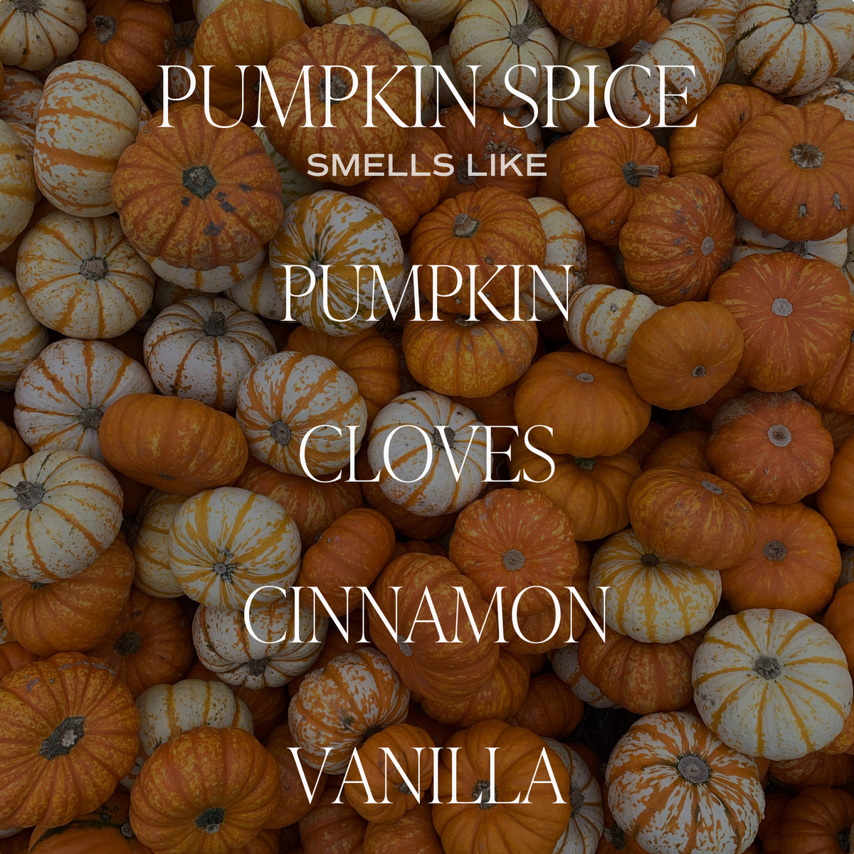 Pumpkin Spice 15 oz Soy Candle, Matte Jar - Fall Decor