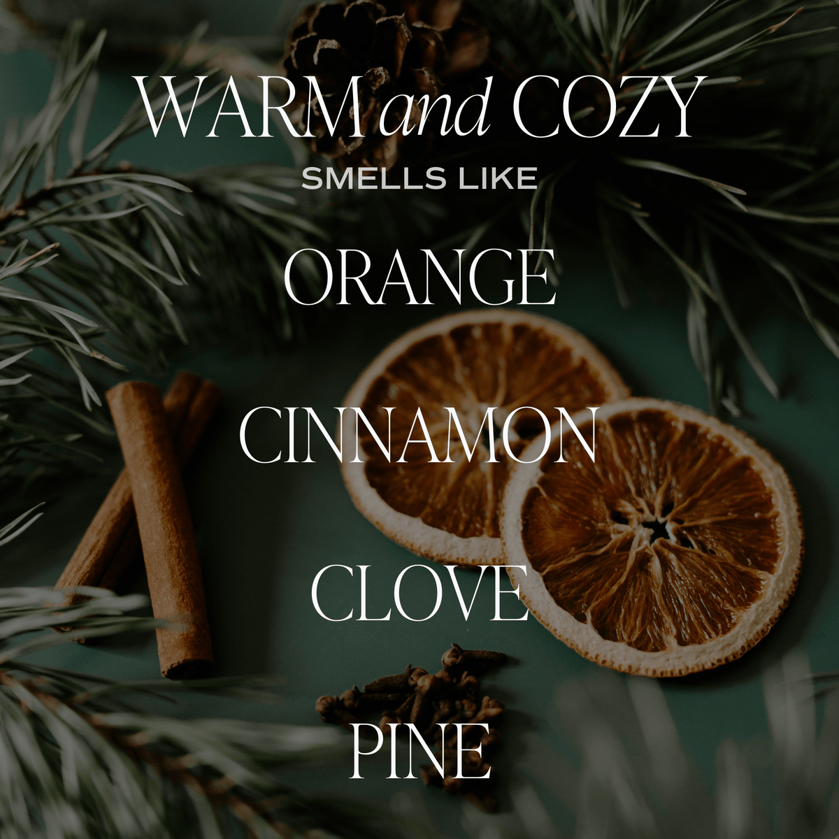 *NEW* Warm and Cozy 9 oz Soy Candle - Christmas Decor