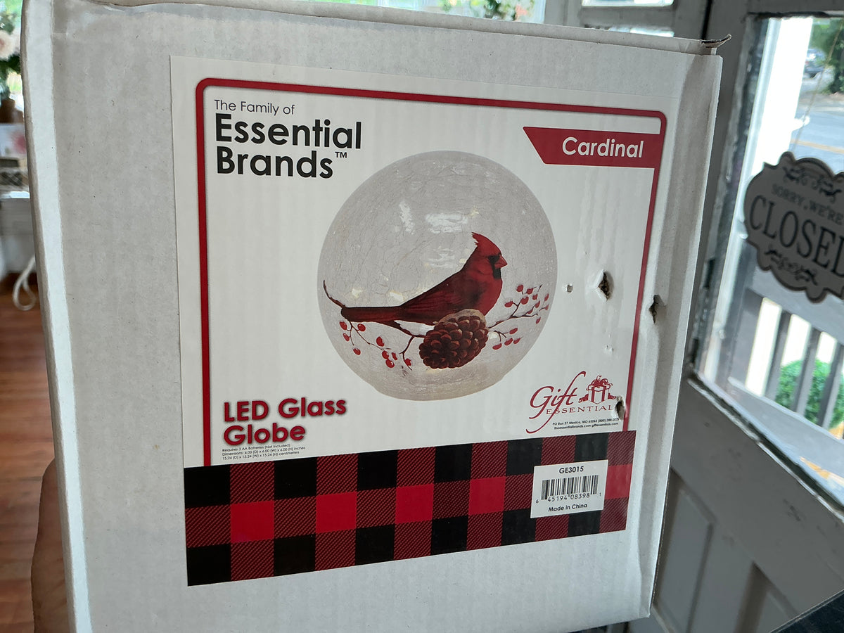 LED Glass Cardinal Globe 6”