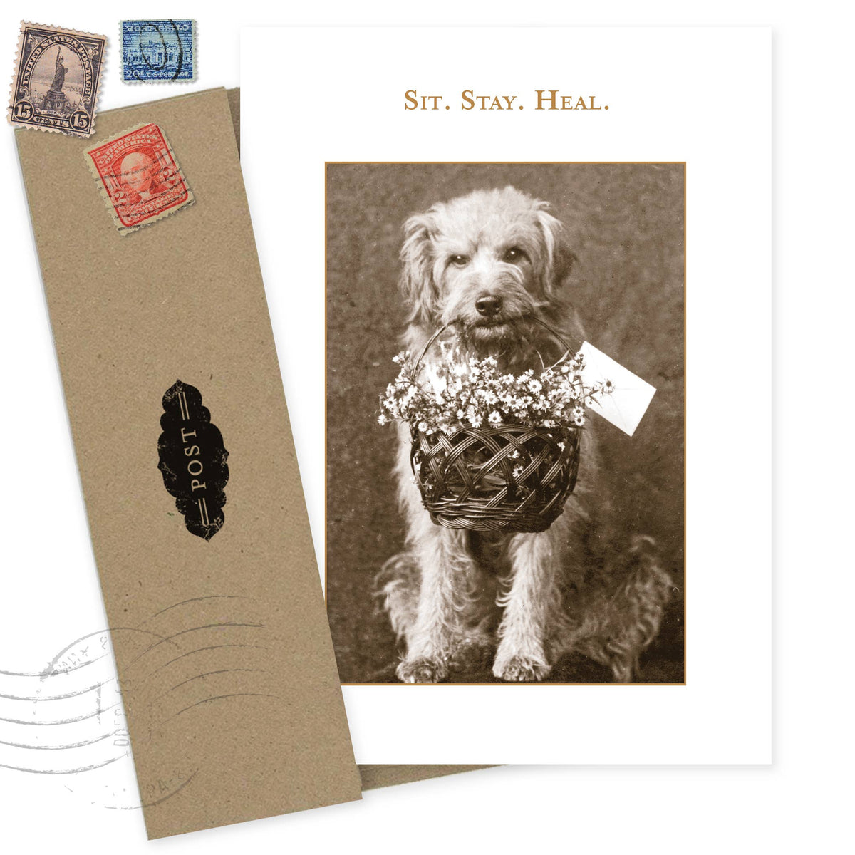 Sit. Stay. Heal. Get Well Card