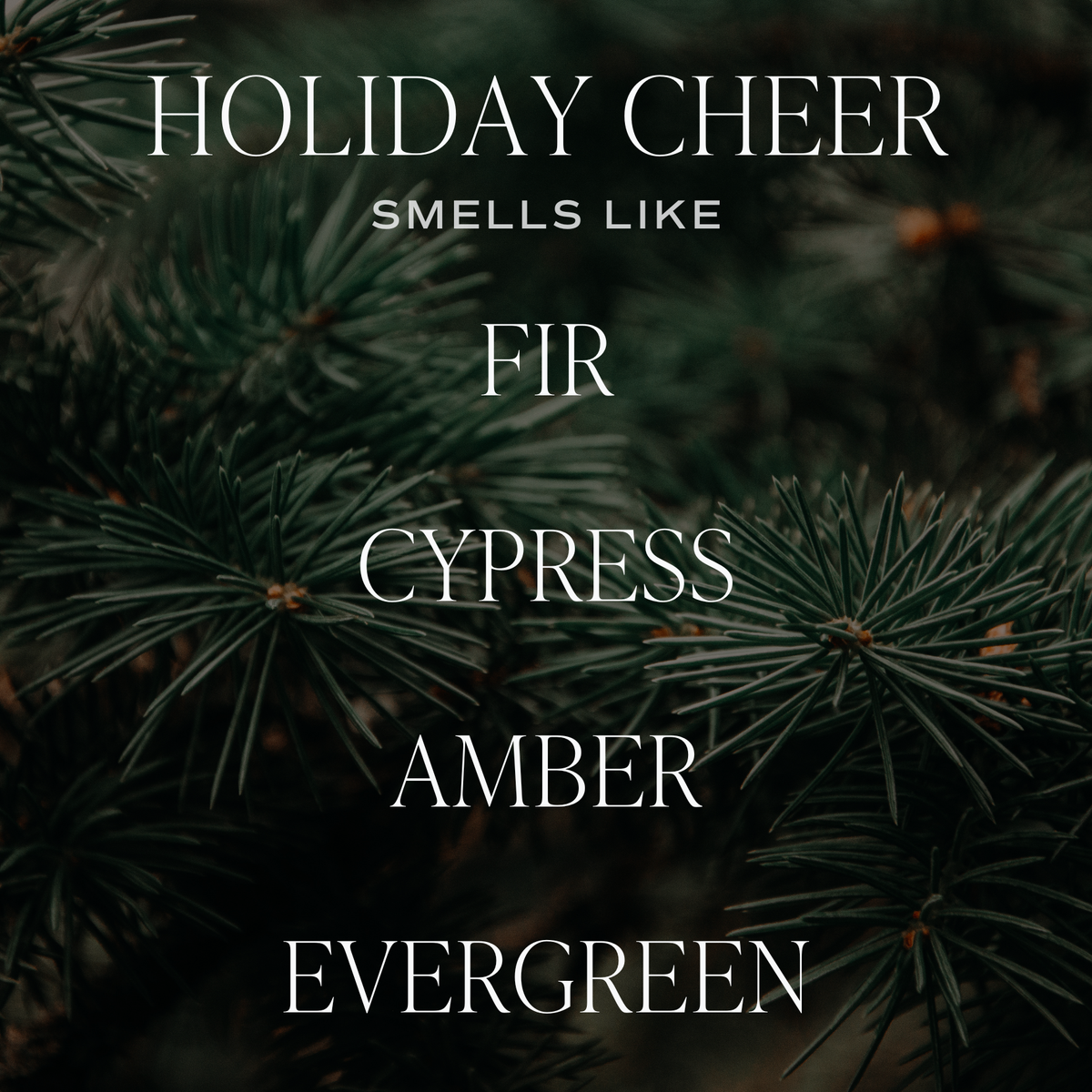 *NEW* Holiday Cheer 9 oz Soy Candle - Christmas Decor