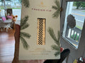 Frasier Fir Car Diffuser Kit