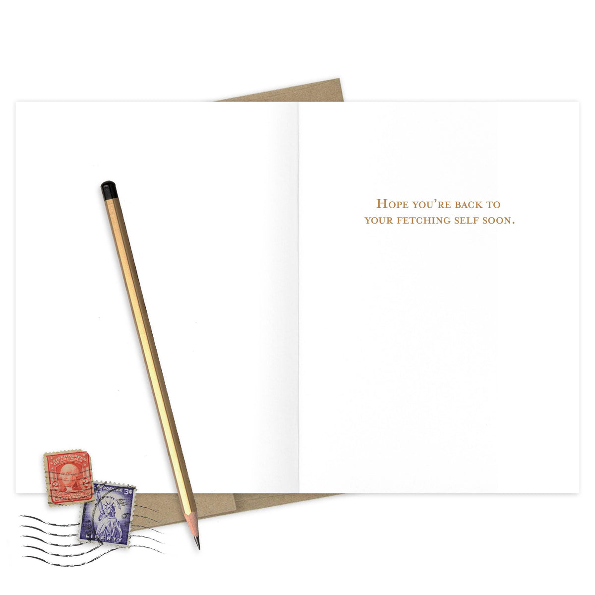 Sit. Stay. Heal. Get Well Card